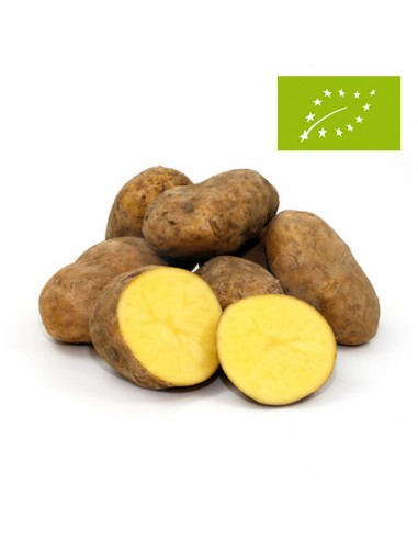Patata "Agria", el Kg (Castilla y León)