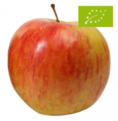 Manzana Fuji Extra Ecológica