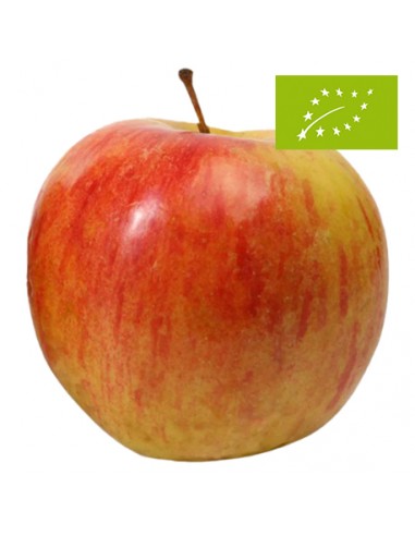 Manzana Fuji Extra Ecológica