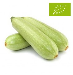 Calabacín Blanco, el Kg...