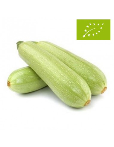 Calabacín Blanco, el Kg (Cataluña)