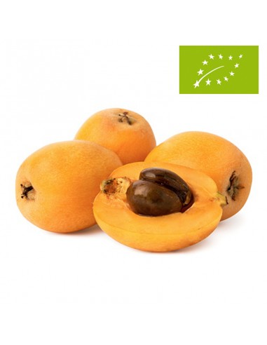 Nisperos, el Kg (Alicante)