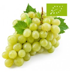 Uvas Moscatel, el Kg (Valencia)