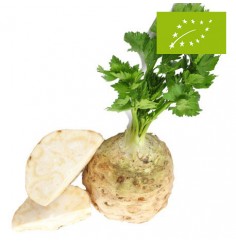 Apionabo, el Kg (Francia)