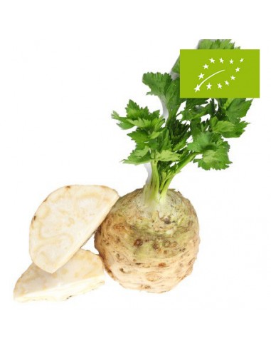 Apionabo, el Kg (Francia)