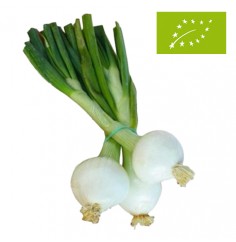 Cebolletas Blancas, el...