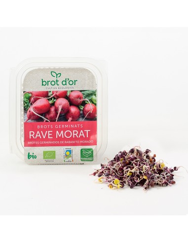 Germinado de Rabanito Morado, 70 Gr