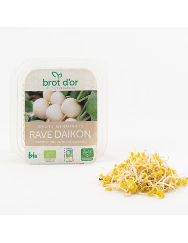 Germinado de Nabo Daikon, 70 Gr