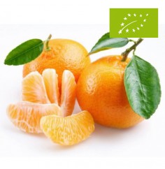 Mandarinas, el Kg (Valencia)