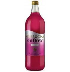 Kombucha Remolacha & Mango...