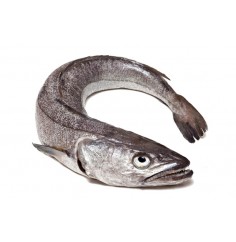 Pescadilla de Pincho Nacional, Pieza de 1 a 2 Kgs Aprox "en Filetes Enteros con Piel"