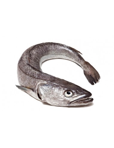 Pescadilla de Pincho Nacional, Pieza de 1 a 2 Kgs Aprox "en Filetes Enteros con Piel"