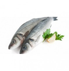 Merluza Volanta Gorda Nacional, Pieza de 3 Kgs Aprox "en Filetes Enteros con Piel"