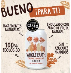 Refresco de Jengibre 330 Ml... 2