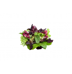 Ensalada Mezclum, 100 Gr...